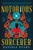 Notorious Sorcerer By Davinia Evans - Paperback