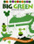 Ed Emberley's Big Green Drawing Book By Ed Emberley - Paperback