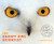 The Snowy Owl Scientist By Mark Wilson - Hardcover