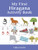 My First Hiragana Activity Book By Yuko Green - Paperback