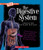 The Digestive System (a True Book: Health and the Human Body) By Christine Taylor-Butler - Paperback