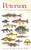 Peterson Field Guide to Freshwater Fishes, Second Edition By Lawrence M. Page - Paperback
