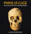 Phineas Gage: A Gruesome But True Story about Brain Science By John Fleischman - Paperback