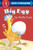 Big Egg By Molly Coxe - Paperback