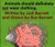 Animals Should Definitely Not Wear Clothing By Judi Barrett - Hardcover