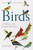 Birds of Mexico and Central America By Ber Van Perlo - Paperback