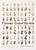 Flower Color Guide By Taylor Putnam - Paperback