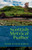 Scottish Metrical Psalter By Eremitical Press - Paperback