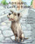 Adriano, Il Cane Di Pompei - Hadrian, the Dog of Pompeii By Matthew Frederick - Paperback