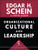 Organizational Culture and Leadership By Edgar H. Schein - Paperback