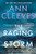 The Raging Storm: A Detective Matthew Venn Novel By Ann Cleeves - Paperback The Raging Storm: A Detective Matthew Venn Novel By Ann Cleeves - Paperback