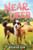 Near and Deer By Sylvia Liu - Paperback