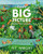 God's Big Picture Bible Storybook: 140 Connecting Bible Stories of God's Faithful Promises By N. T. Wright - Hardcover