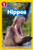 Hippos (National Geographic Kids Readers, Level 1) By Maya Myers - Paperback