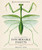 Innumerable Insects: The Story of the Most Diverse and Myriad Animals on Earth By Michael S. Engel - Hardcover