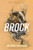 Brock: A Novel Volume 1 By Anthony McGowan - Paperback