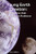 Young Earth Creation: Evidence that Demands an Audience By Brian Demars - Paperback