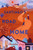 Santiago's Road Home By Alexandra Diaz - Paperback