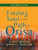 Finding Soul on the Path of Orisa: A West African Spiritual Tradition By Tobe Melora Correal - Paperback