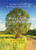 May I Walk You Home?: Courage and Comfort for Caregivers of the Very Ill By Joyce Hutchison - Paperback