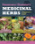 Rosemary Gladstar's Medicinal Herbs: A Beginner's Guide: 33 Healing Herbs to Know, Grow, and Use By Rosemary Gladstar - Paperback Rosemary Gladstar's Medicinal Herbs: A Beginner's Guide: 33 Healing Herbs to Know, Grow, and Use By Rosemary Gladstar - Paperback