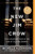 The New Jim Crow: Mass Incarceration in the Age of Colorblindness By Michelle Alexander - Paperback