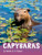 Capybaras By Martha E. H. Rustad - Paperback