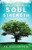 Soul Strength: Rhythms for Thriving By Alan Ahlgrim - Paperback
