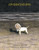 Overstaying By Ariane Koch - Paperback