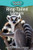 Ring-Tailed Lemurs By Victoria Blakemore - Paperback