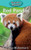 Red Pandas By Victoria Blakemore - Hardcover