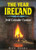 The Year in Ireland By Kevin Danaher - Paperback