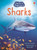 Sharks By Catriona Clarke - Paperback