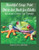 Beautiful Large Print Dot to Dot For Adults: From 150 to 484 Dots By Laura's Dot to Dot Therapy - Paperback