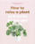 How to Raise a Plant: And Make It Love You Back By Morgan Doane - Paperback