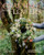 Crafting with Flowers: Celebrate the Seasons with 20 Floral Projects By Bex Partridge - Paperback