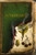 Arboreality By Rebecca Campbell - Paperback