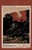 Rose and Renaissance#3 By Zhi Chu - Paperback