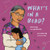 What's in a Bead? By Kelsey Borgford - Hardcover