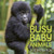 Busy Baby Animals By Suzi Eszterhas - Hardcover