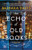 The Echo of Old Books By Barbara Davis - Hardcover