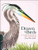 Drawn to Birds: A Naturalist's Sketchbook By Jenny Defouw Geuder - Hardcover