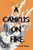 A Campus on Fire By Patrick O'Dowd - Paperback