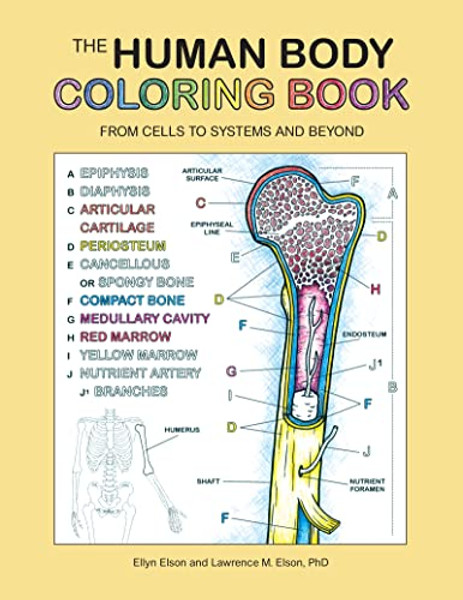 The Human Body Coloring Book: From Cells to Systems and Beyond By Coloring Concepts Inc - Paperback