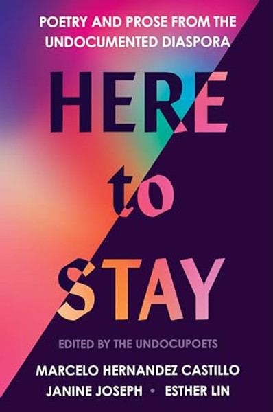 Here to Stay: Poetry and Prose from the Undocumented Diaspora By Marcelo Hernandez Castillo - Paperback