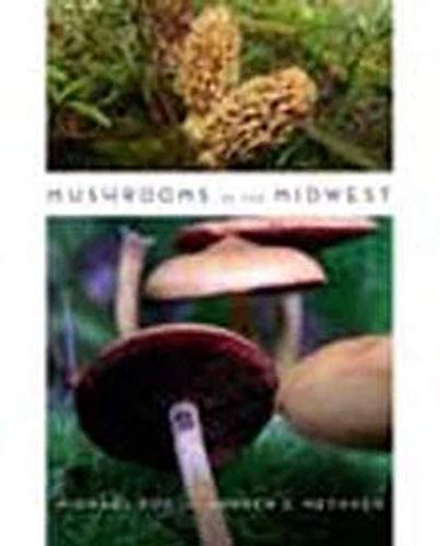 Mushrooms of the Midwest By Michael Kuo - Paperback