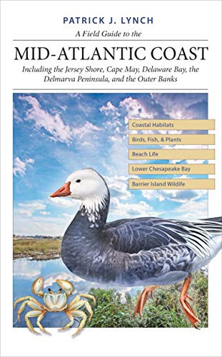A Field Guide to the Mid-Atlantic Coast: Including the Jersey Shore, Cape May, Delaware Bay, the Delmarva Peninsula, and the Outer Banks By Patrick J. Lynch - Paperback