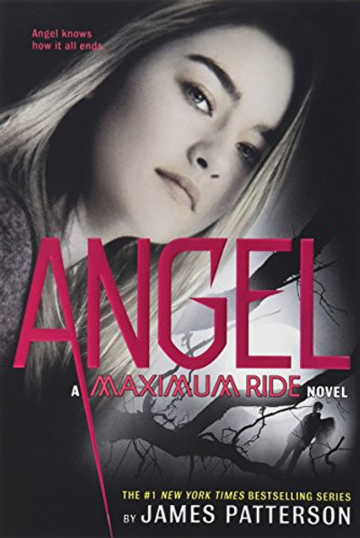 Angel [With Poster] By James Patterson - Paperback