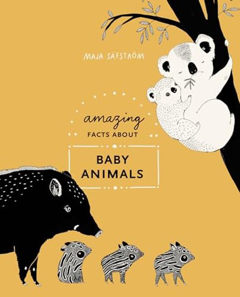 Amazing Facts about Baby Animals: An Illustrated Compendium By Maja Sfstrm - Hardcover