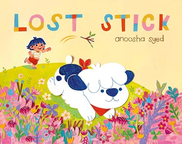 Lost Stick By Anoosha Syed - Hardcover